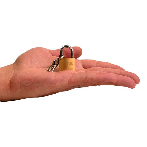 Candado latonado 25mm Gato cl25