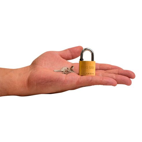 Candado latonado 30mm Gato cl30