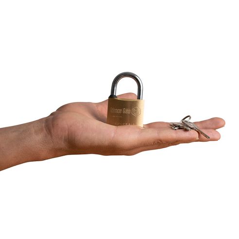 Candado latonado 40mm Gato cl40